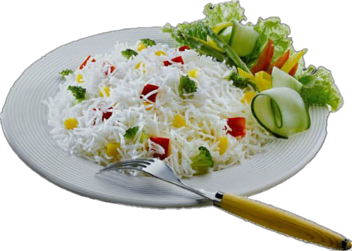 plate of biryani